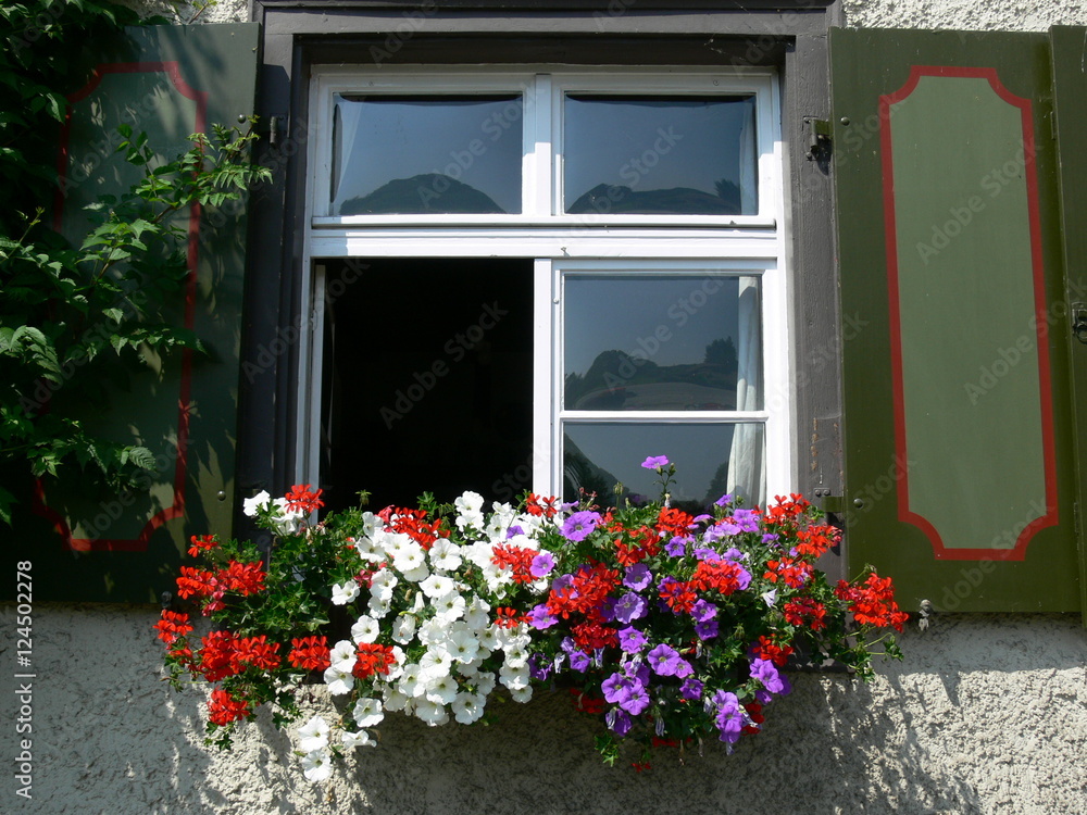 Blumenfenster