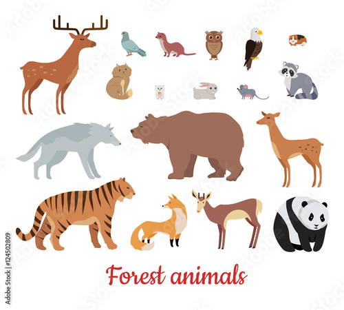 Forest Animals Set