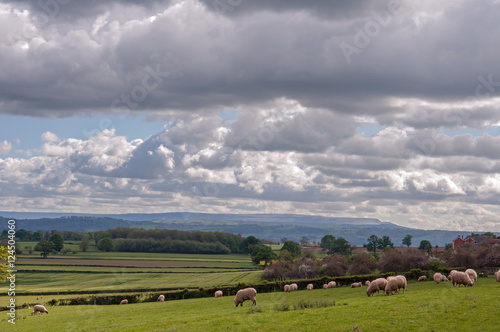 Agricultural scenery in the Herefordshire countryside of England.