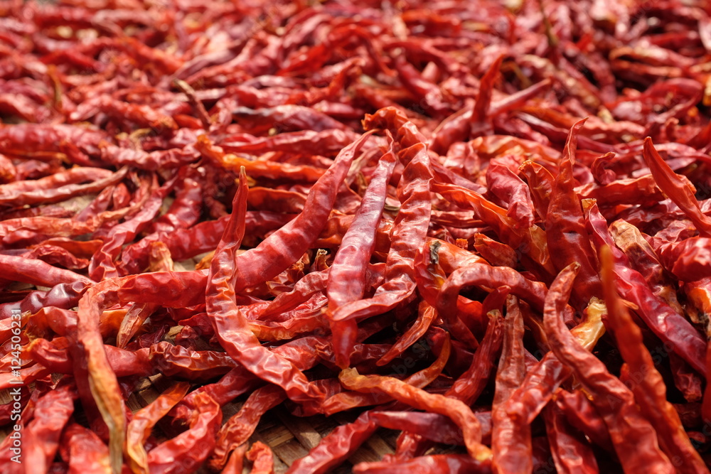dry chilli dry chilli