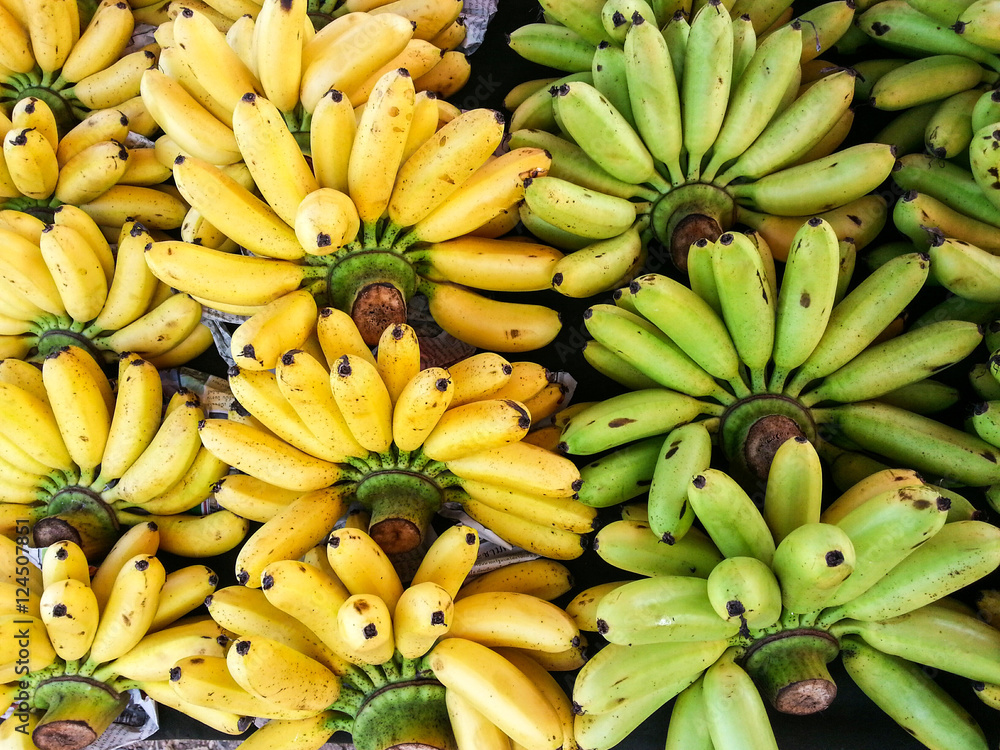 Ripe yellow banana, raw green. Placed on the market.