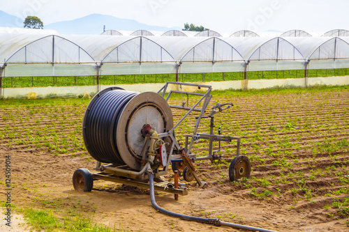 agricoltura biologica in Italia