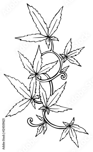 Marijuana leaf on the old watercolor paper background, vector image