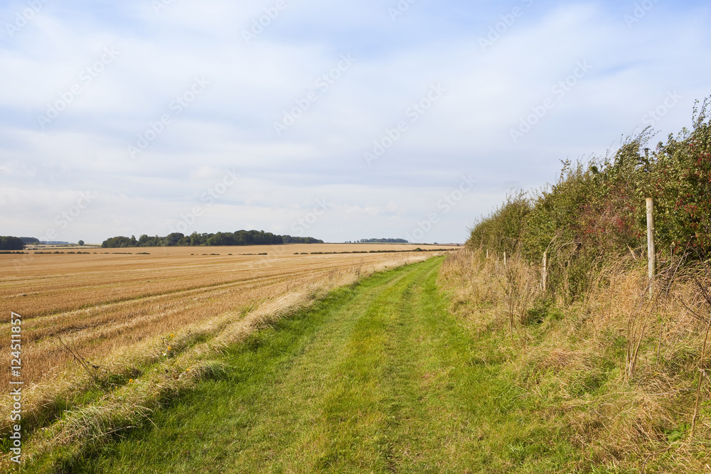 minster way footpath