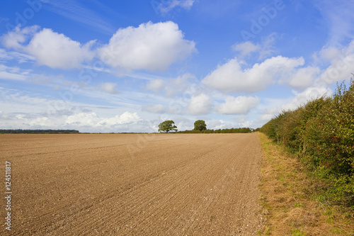 autumn cultivation