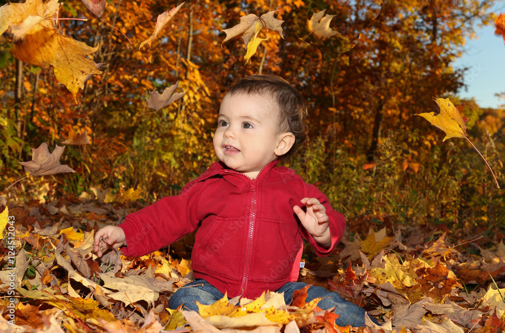 feuilles au vent feuilles au vent