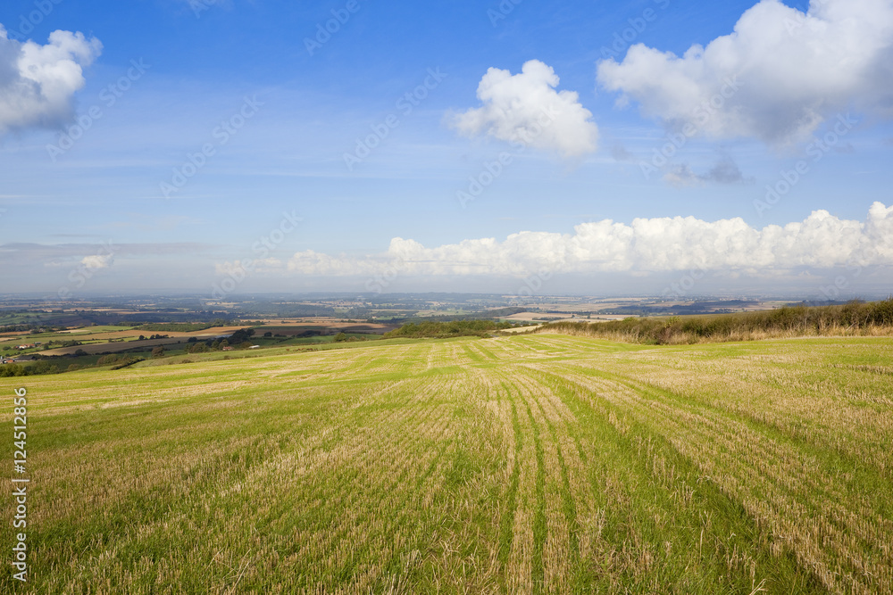farmland vista