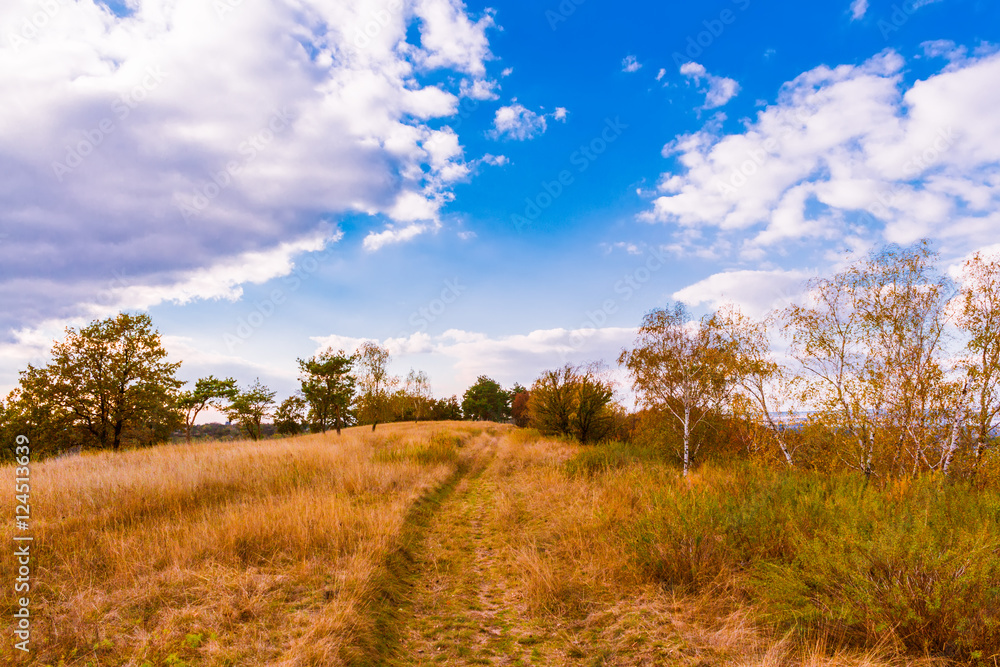 Trail on a hill beneath blue sky in autumn.