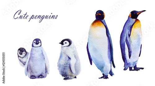 watercolor illustration. Emperor penguins. isolated on white background