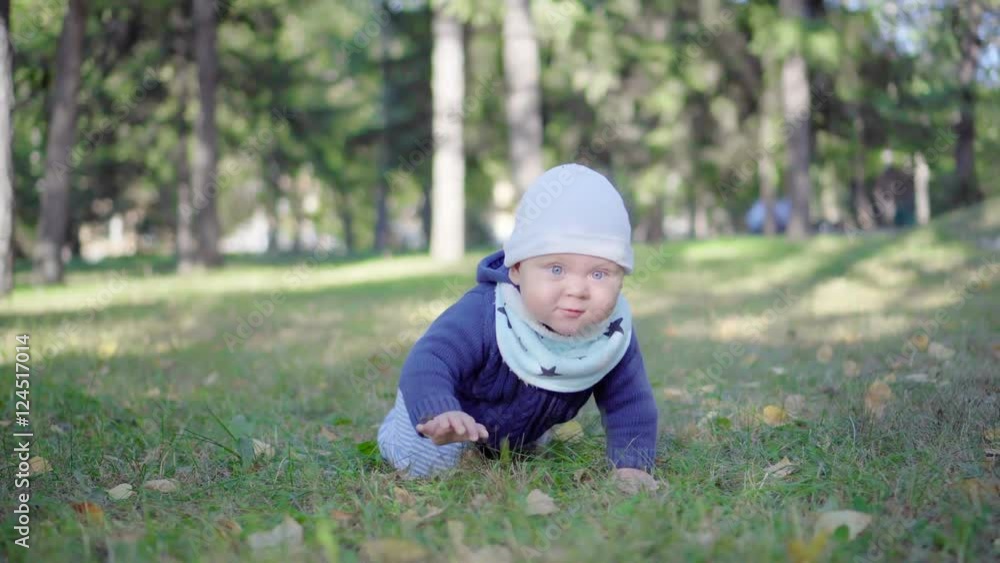 Baby crawling on the grass in the park. Baby crawling on the grass in the park.