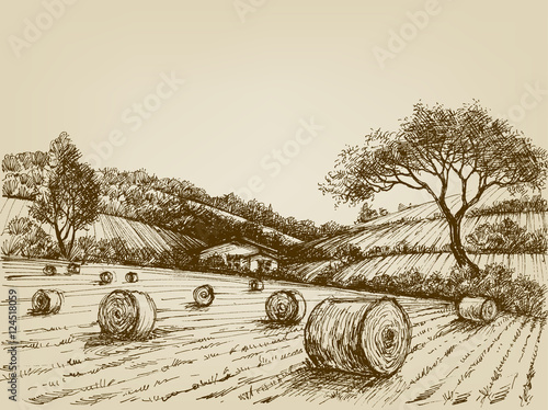 Harvest landscape, farm field and hay bales
