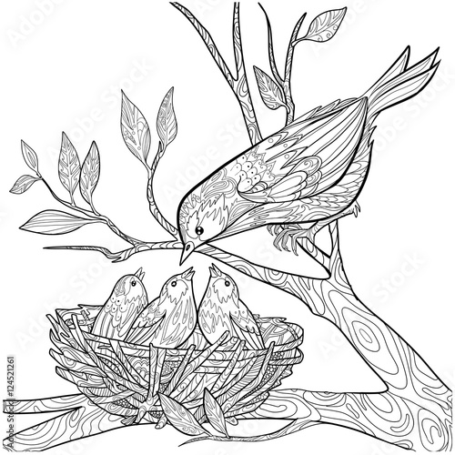 Decorative doodle bird and nest with chicks. Coloring book page for adults. Vector illustration.