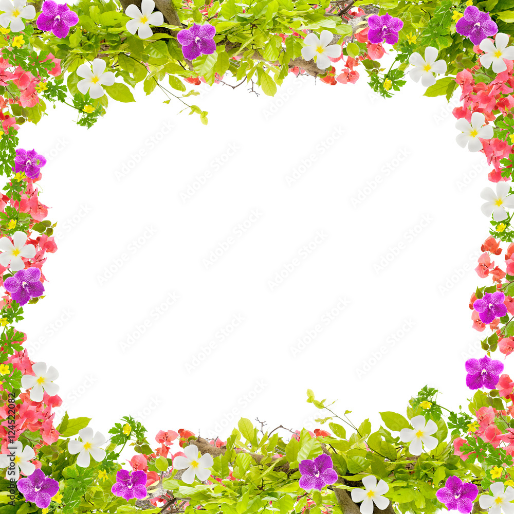 Beautiful green leaves frame with flower on white background Beautiful green leaves frame with flower on white background
