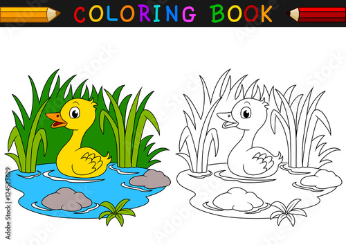 Cartoon duck coloring book
