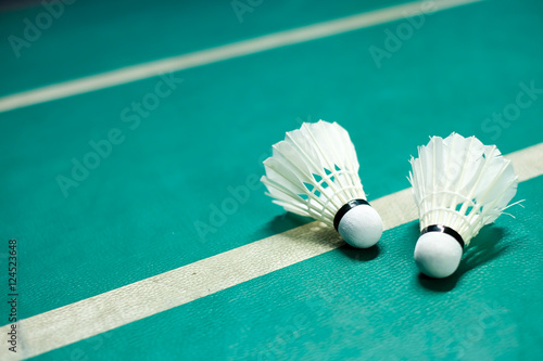Shuttlecock on badminton playing court 