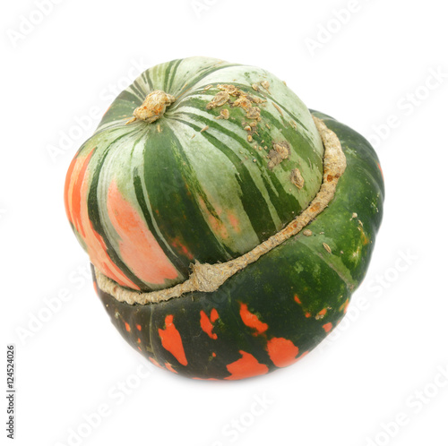 Green and orange turban squash photo