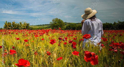 Poppies field