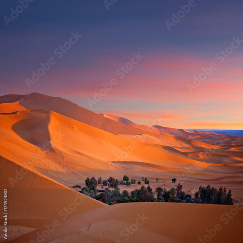 Oasis over sand dunes in Sahara desert in Morocco, Africa