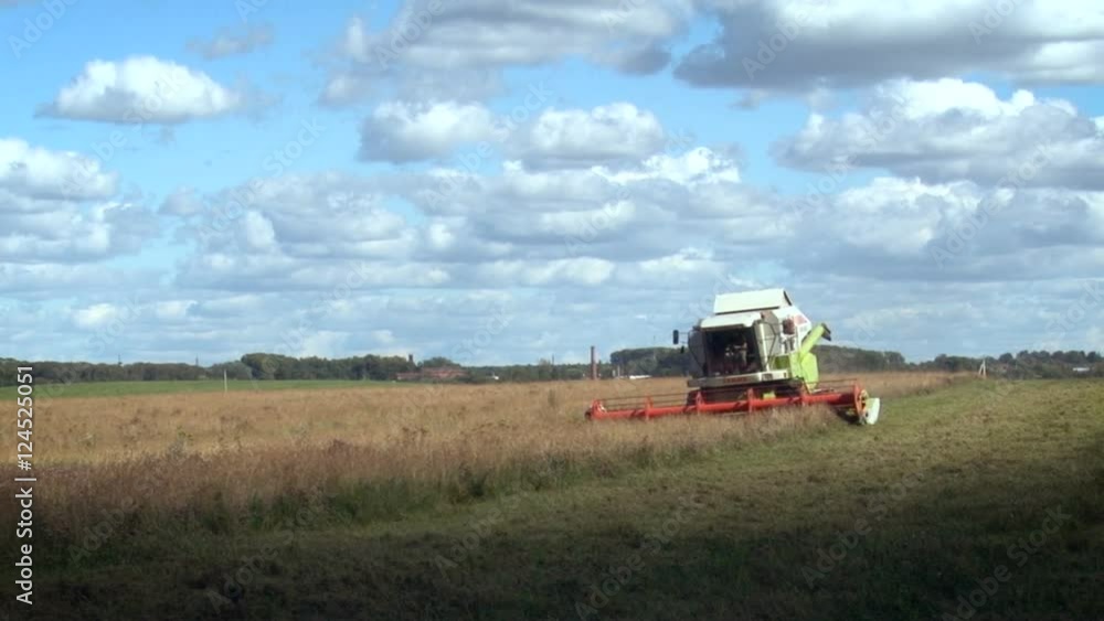 Farming Area. Haymaking. Working Combine on Field. Tractor Catching Grass Inside Equipment, Cutting. Forest on Background. Cloudy Day. Wide Shot Farming Area. Haymaking. Working Combine on Field. Tractor Catching Grass Inside Equipment, Cutting. Forest on Background. Cloudy Day. Wide Shot