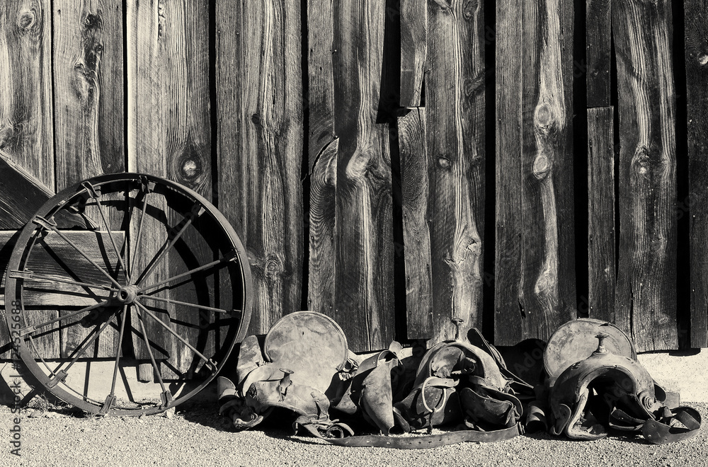 Vintage Wild West - Black and white vintage Wild West photo of horse ...
