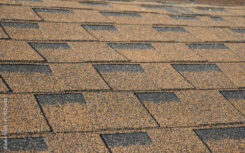 Asphalt Shingles Photo. Roof Shingles - Roofing Construction, Roofing Repair.