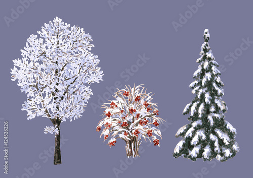 Winter Trees and Bush