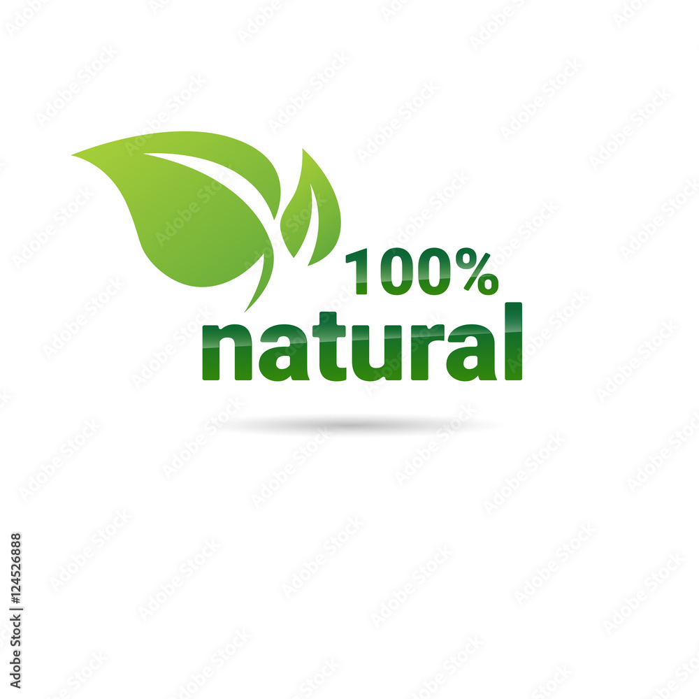 Fototapeta premium Eco Friendly Organic Natural Product Web Icon Green Logo Flat Vector Illustration