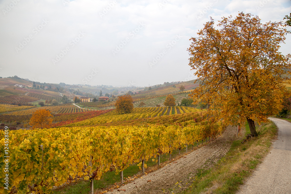 Naklejka premium Autunno in Piemonte, fiume