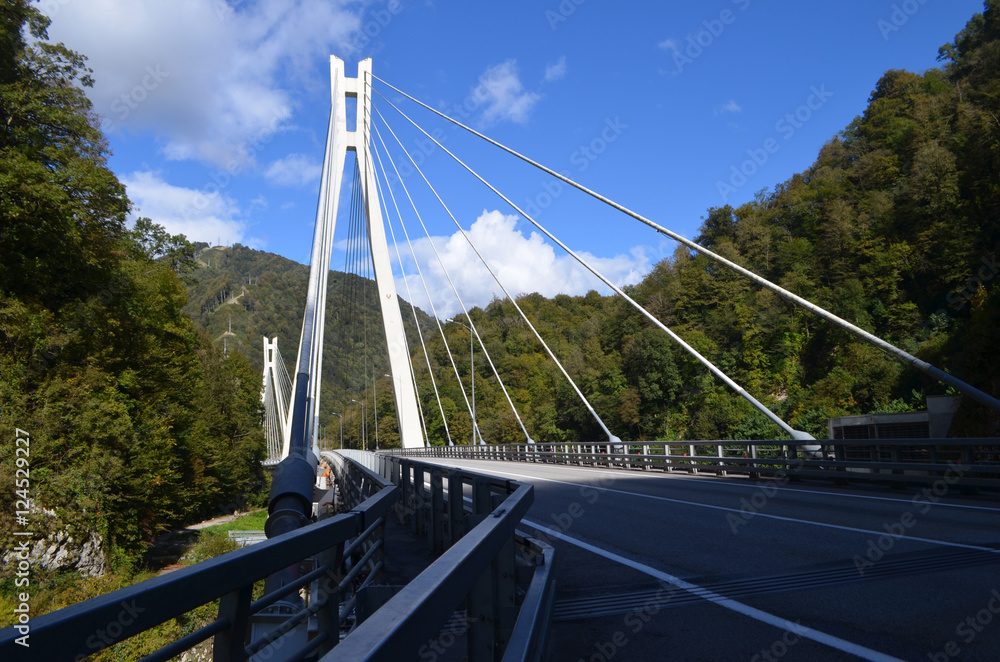 Obraz premium вантовый мост