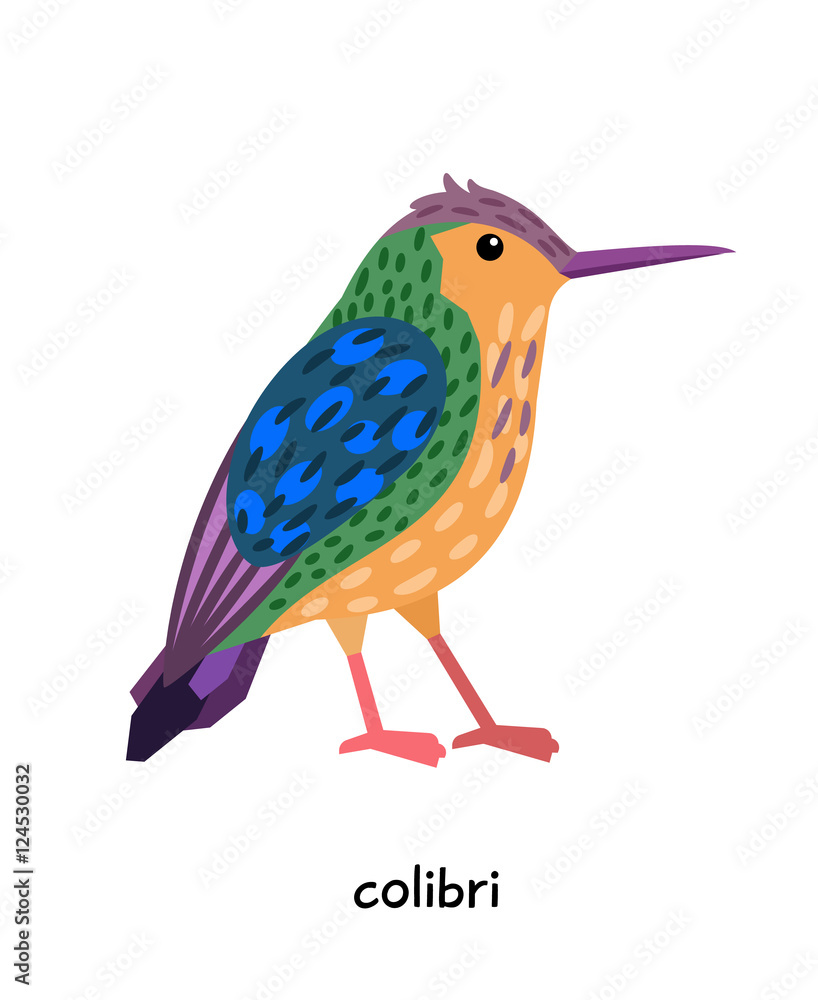 Obraz premium Image of nice colibri