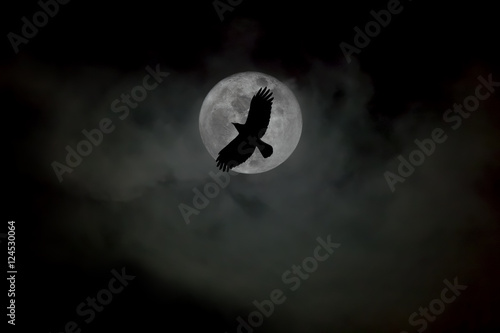 Quadro su tela Crow and Moon