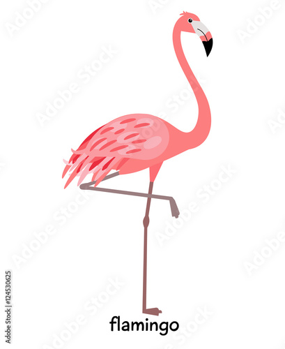 Image of nice flamingo