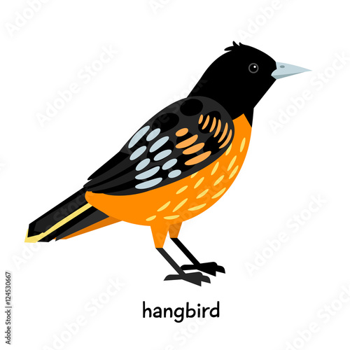Image of nice hangbird