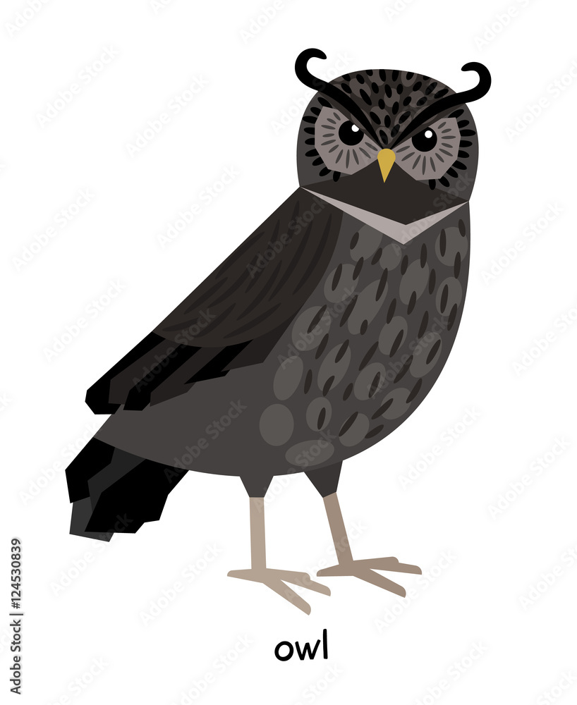 Image of nice owl Image of nice owl