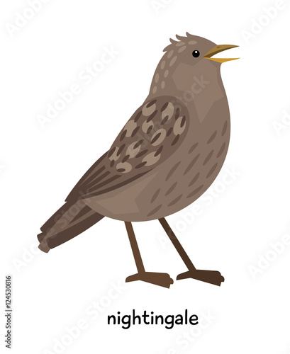 Fotografie Image of nice nightingale
