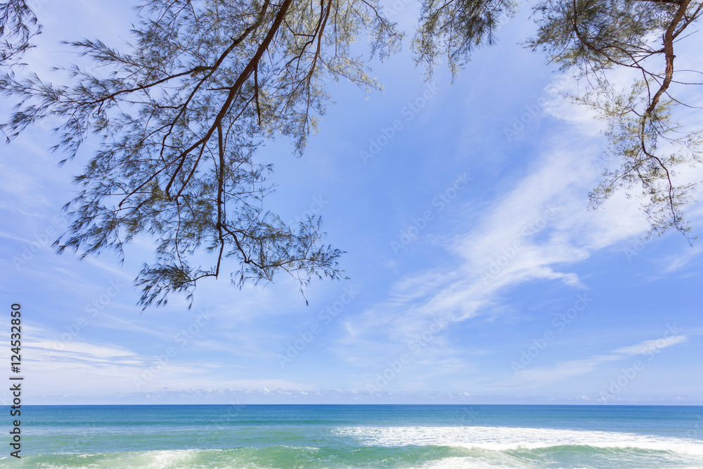 Beautiful tropical beach with tree frame for summer background. Beautiful tropical beach with tree frame for summer background.