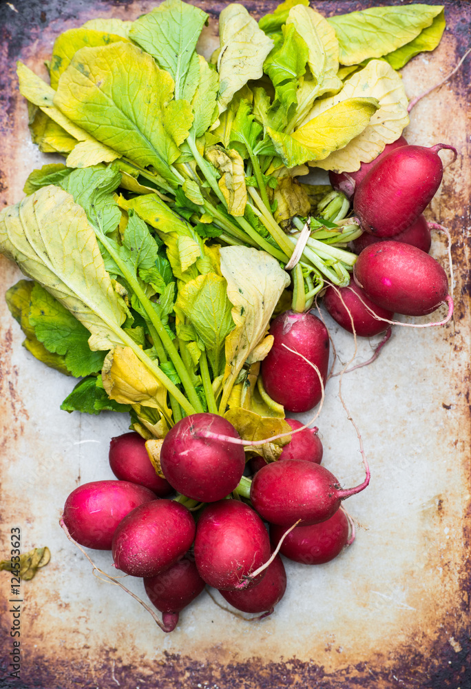 radishes on grunge background radishes on grunge background