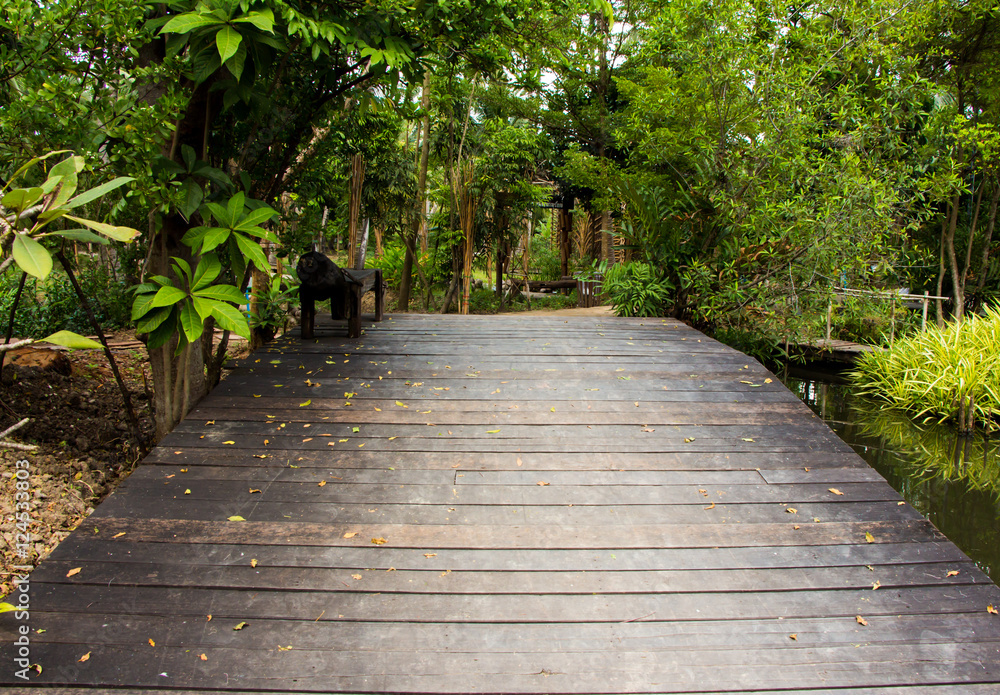 Wooden bridge path in park 