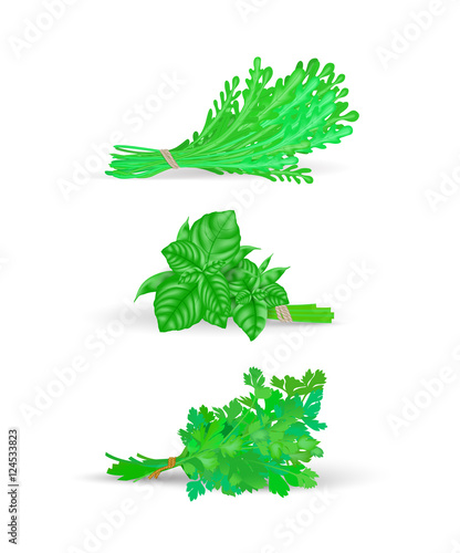 set of beams  green grass with leaves  arugula, parsley, bas
