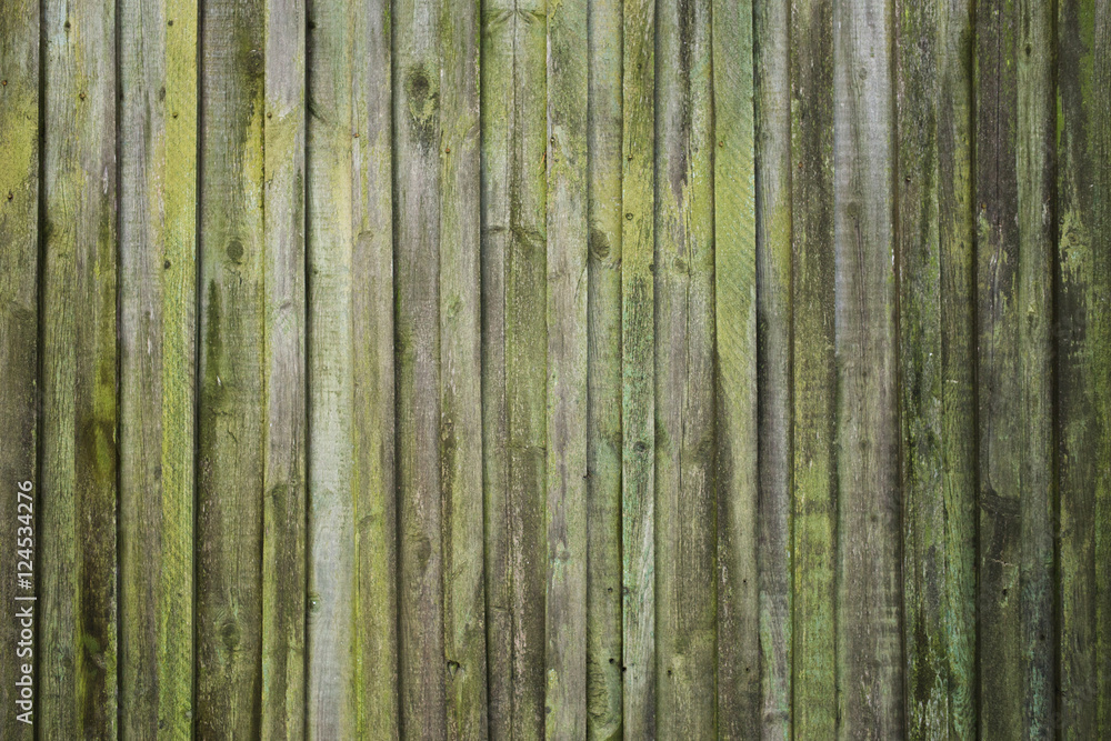 Fototapeta premium Texture of old wooden fence