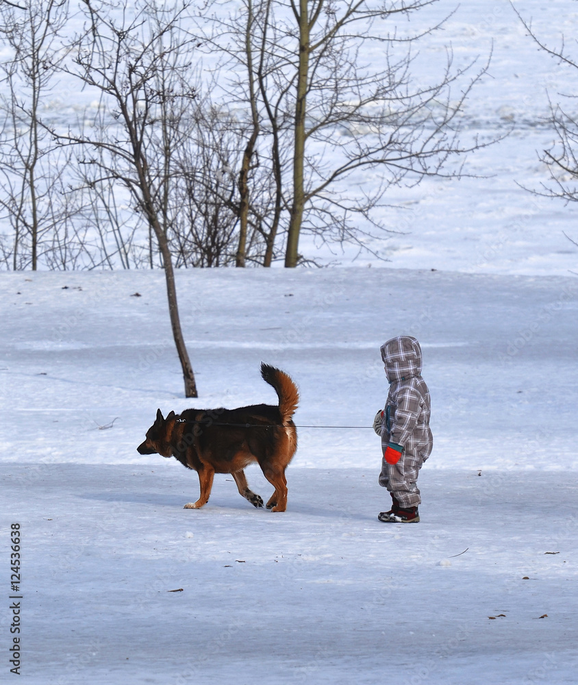 The child walks with the dog
