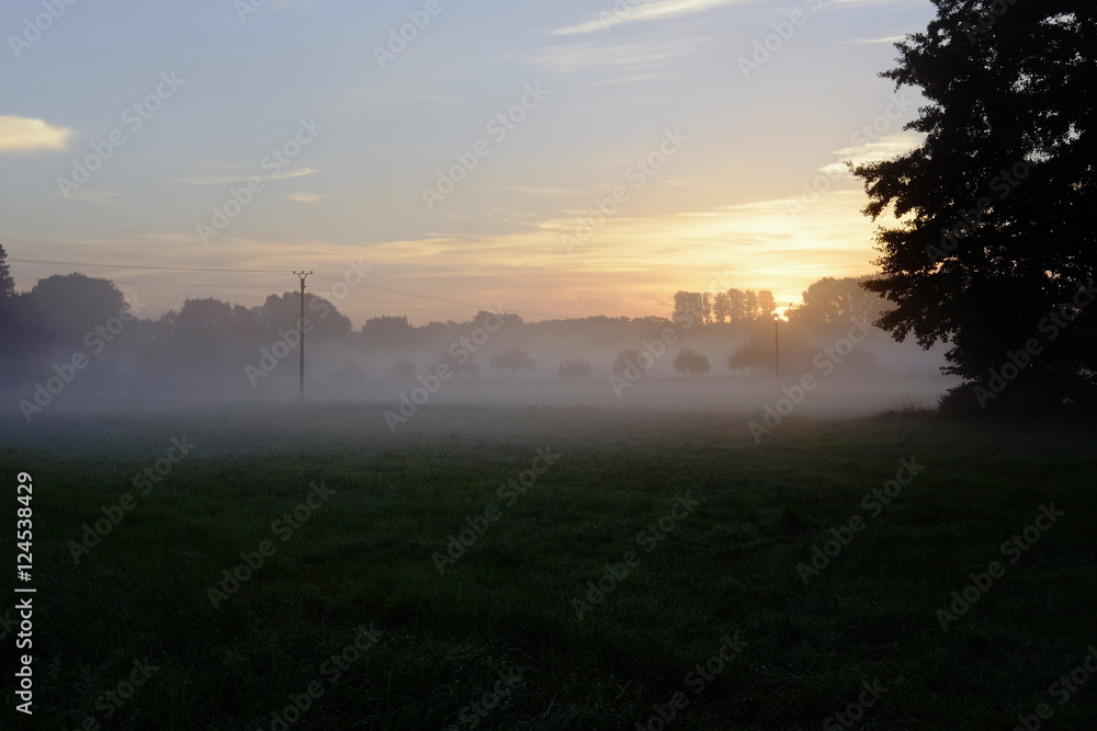Fototapeta premium morning fog and sunrise
