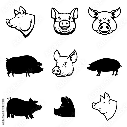 Set of Pork labels. Pig silhouettes and heads. Design elements f