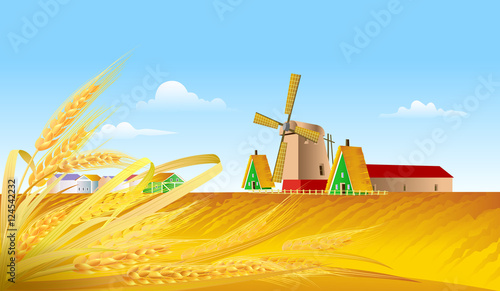 to the theme of the crop with wheat field landscape, the windmil