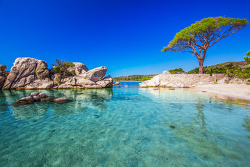Sierkussen Badkamer Pijnboom boven lagune Palombaggia Corsica  © Eva Bocek