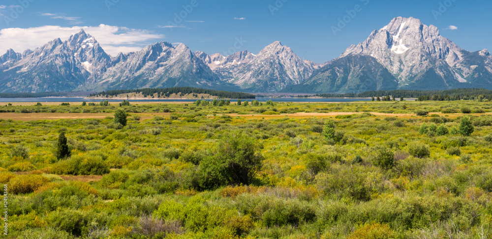 Fototapeta premium Grand Teton National Park, Wyoming