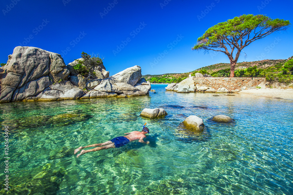 Fototapeta premium Young man snorkeling in green lagoon with pine tree on Palombaggia beach, Corsica, France, Europe.