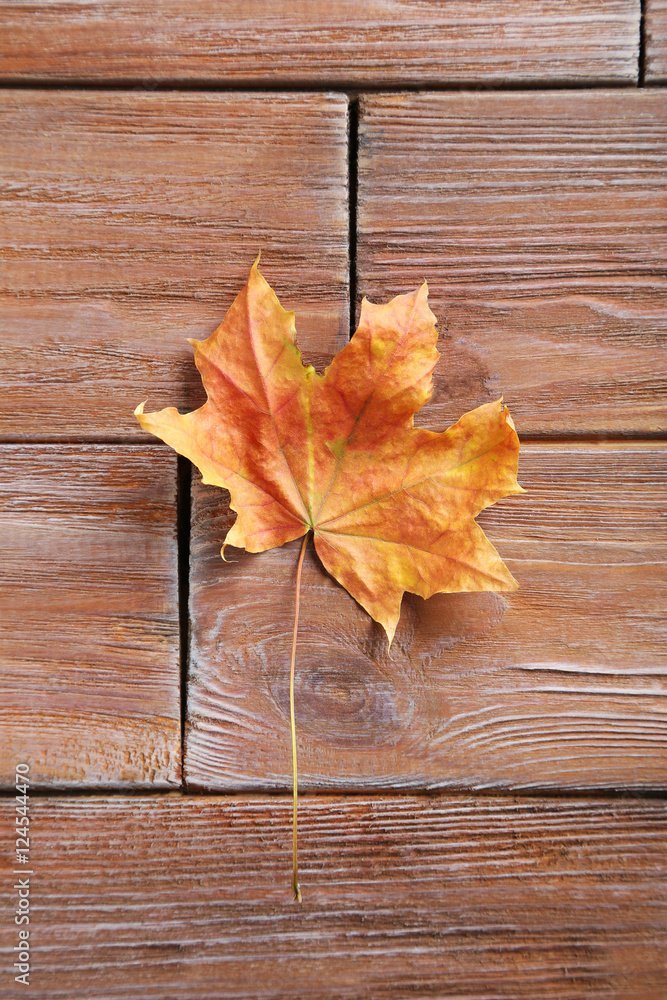 Autumn leaf on brown wooden table