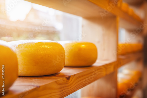 Canvas Print Cheese heads