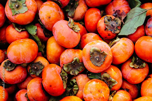 Large Pile of Persimmons photo